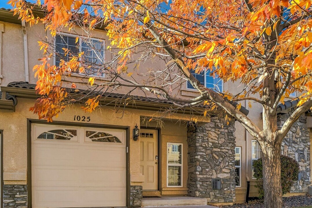 1025 Cheyenne Villas Point in Colorado Springs, CO - Building Photo