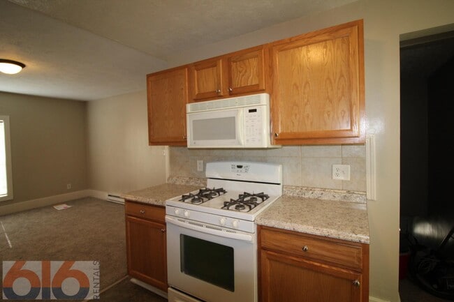 819 Douglas St NW in Grand Rapids, MI - Building Photo - Building Photo