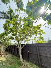 960 NW 11th St in Homestead, FL - Building Photo - Building Photo