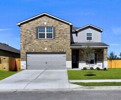 313 Mount Vernon Way in Liberty Hill, TX - Building Photo
