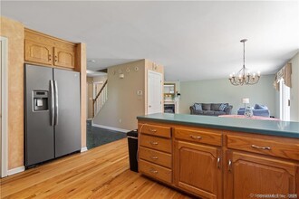 14 Mayflower Ln in Shelton, CT - Foto de edificio - Building Photo