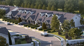 Camellia Grove Townhomes in Lafayette, LA - Building Photo