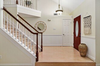 15 Meadow Cove Dr in The Woodlands, TX - Building Photo - Building Photo