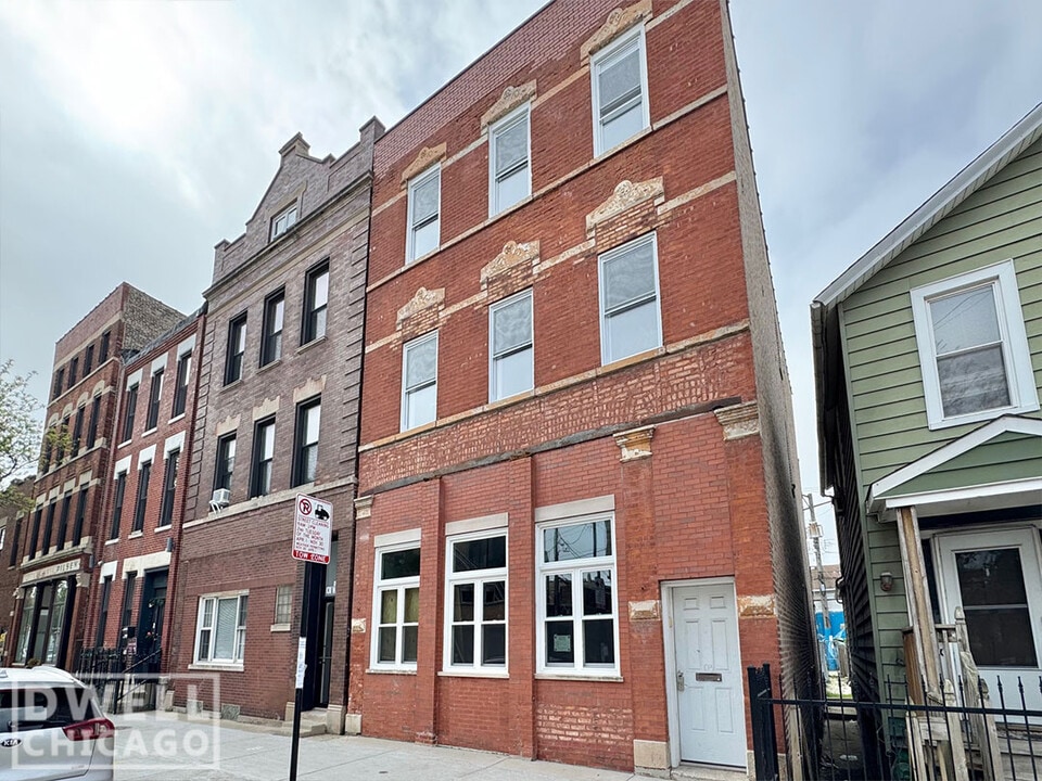 1013 W 19th St, Unit 2 in Chicago, IL - Foto de edificio