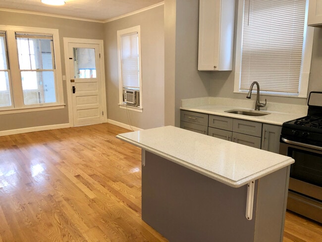 2156 W 18th Pl in Chicago, IL - Foto de edificio - Building Photo