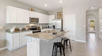 33001 Tulip Petal Ln in Wesley Chapel, FL - Building Photo - Building Photo