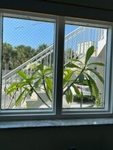 441 Ocean Park Ln in Cape Canaveral, FL - Building Photo - Building Photo