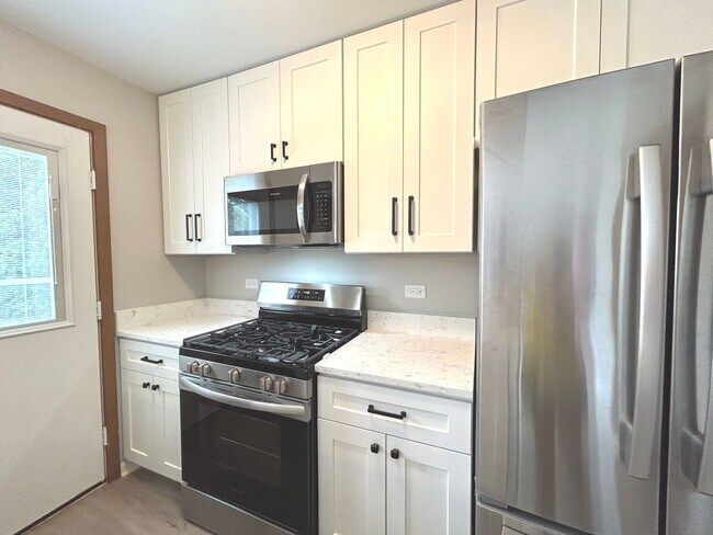 1453 Chelsea Ave in Palatine, IL - Building Photo - Building Photo