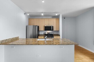 330 W Grand Ave in Chicago, IL - Building Photo - Building Photo