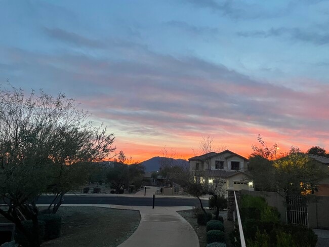 2916 W Windsong Dr in Phoenix, AZ - Building Photo - Building Photo