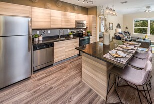 Clearwater Beach Apartments For Rent With Swimming Pool S The Nolan Apartments