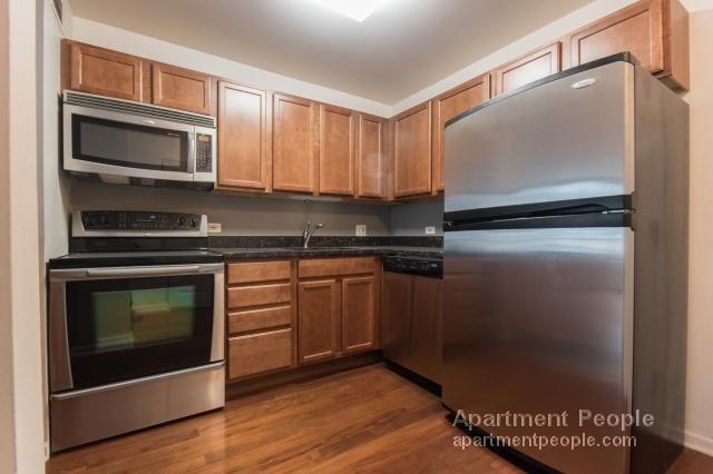 222 E Pearson St-Unit -2003 in Chicago, IL - Building Photo - Building Photo