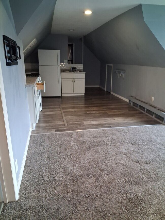 104 5th St S in Virginia, MN - Building Photo - Building Photo