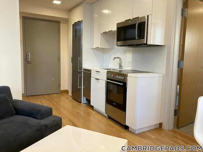 property at 115 Mt Auburn St
