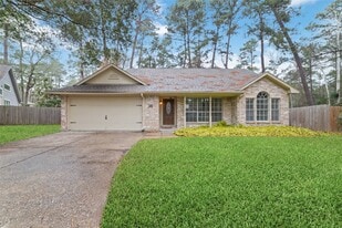 36 N Rain Forest Ct in Spring, TX - Building Photo