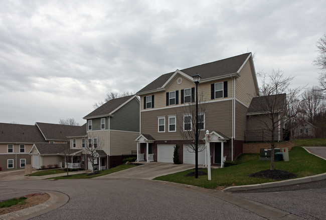 Stevenson Pointe in Akron, OH - Building Photo - Building Photo