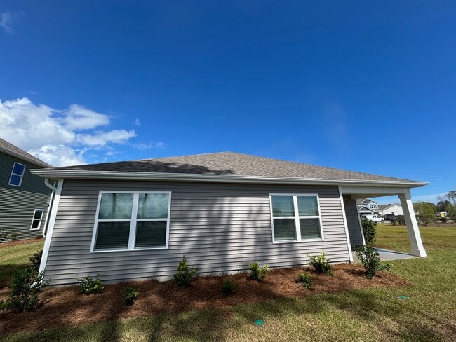1237 Pampas Grass Dr in Castle Hayne, NC - Building Photo - Building Photo