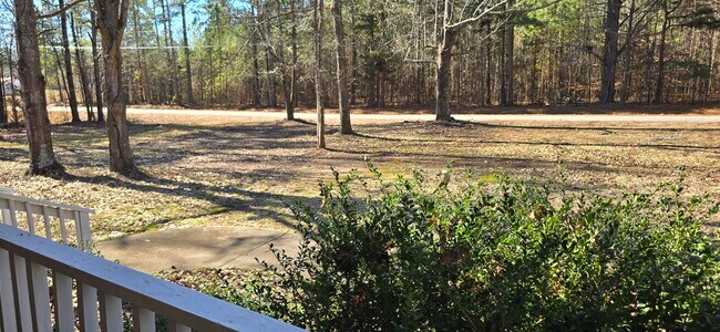 275 Johnson Terrace in Covington, GA - Building Photo - Building Photo