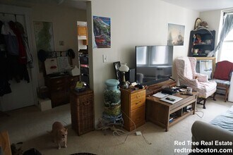20 Colborne Rd in Boston, MA - Building Photo - Building Photo