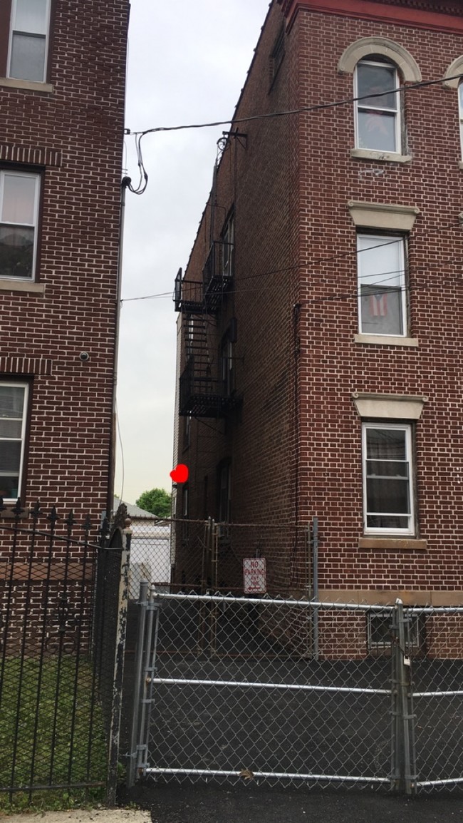 115 Grafton Ave in Newark, NJ - Foto de edificio - Building Photo