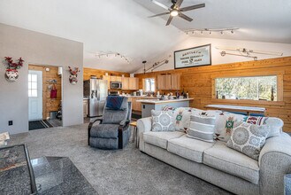 1353 Alice Rd in Idaho Springs, CO - Building Photo - Building Photo