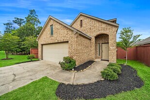 22419 Brass Bell Dr in Porter, TX - Building Photo