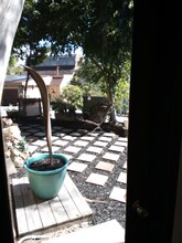 28831 Shady Ln in Laguna Beach, CA - Building Photo - Building Photo