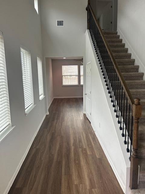 343 Silver Glen Dr in Niederwald, TX - Building Photo - Building Photo