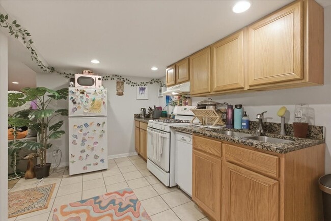 3727 N Bosworth Ave in Chicago, IL - Building Photo - Building Photo