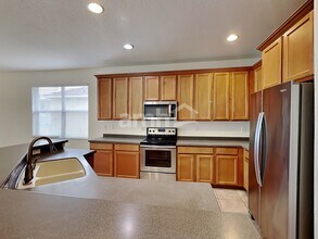 6019 Blue Sage Dr in Land O Lakes, FL - Building Photo - Building Photo