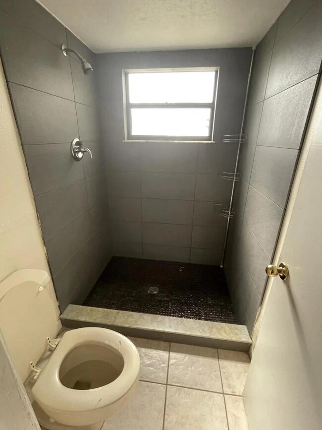 723 Dromedary Dr in Kissimmee, FL - Building Photo - Building Photo