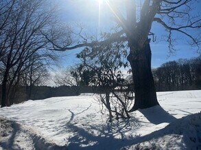 89 Old Connecticut Path in Wayland, MA - Building Photo - Building Photo