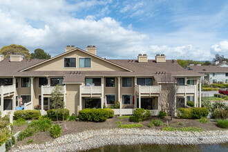 The Shores at Marina Bay in Richmond, CA - Building Photo - Building Photo