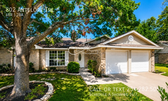 property at 802 Antelope Trail