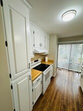 714 Autumn Trce in Williamsburg, VA - Foto de edificio - Building Photo