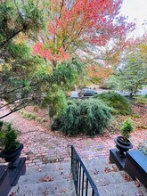 147 E Chestnut St in Asheville, NC - Building Photo - Building Photo