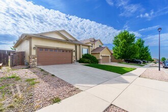 8117 Kettle Drum St in Colorado Springs, CO - Building Photo - Building Photo