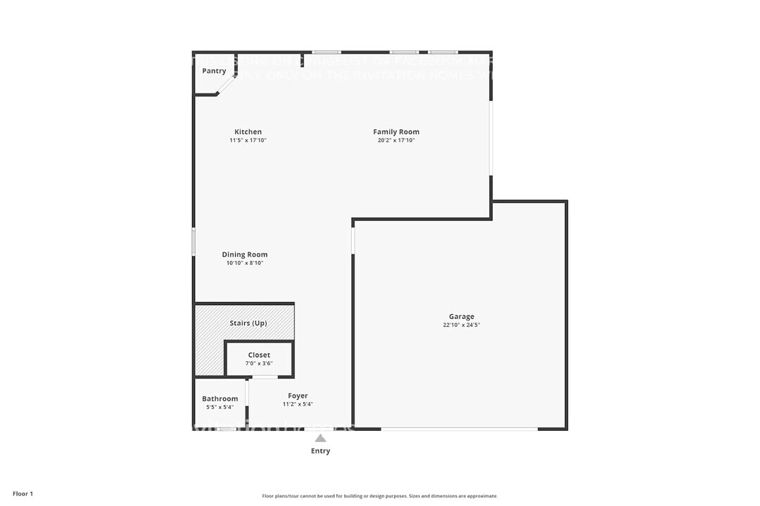 12829 Scarlet Star Dr in Riverview, FL - Building Photo