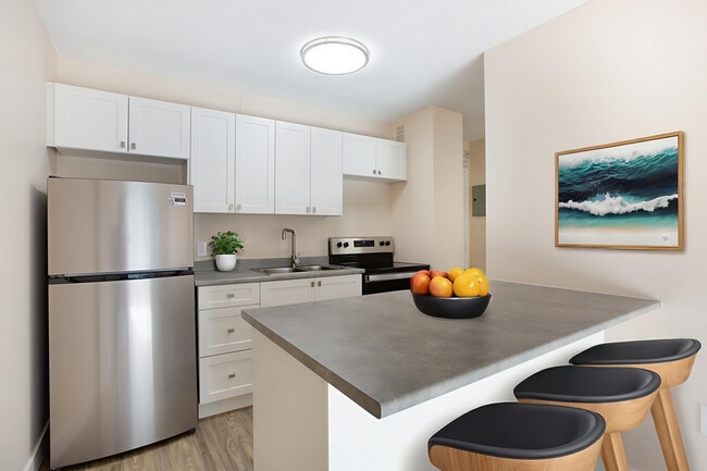 The Birkenshaw Apartments in Calgary, AB - Building Photo - Building Photo