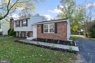 7922 Fitzroy St, Unit Basement in Alexandria, VA - Building Photo