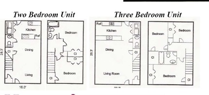 McCauley Trail Apartment in Chapel Hill, NC - Building Photo - Floor Plan