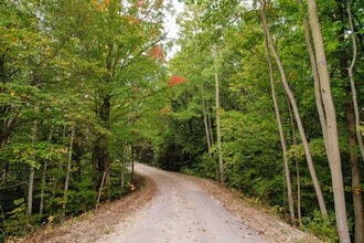 589903 Grey County Rd 19 in Blue Mountains, ON - Building Photo - Building Photo