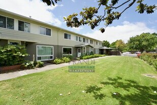 1032 Los Gamos Rd in San Rafael, CA - Building Photo