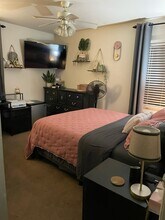 1101 Lanore Dr in Urbana, IL - Foto de edificio - Building Photo