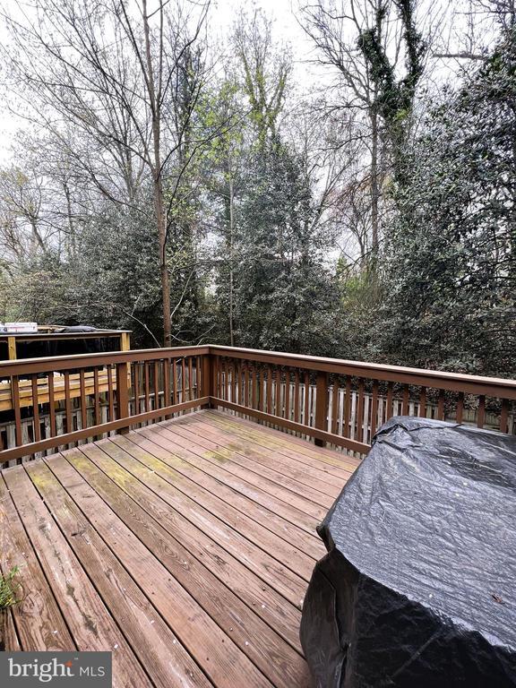 7438 Chummley Ct in Falls Church, VA - Building Photo - Building Photo