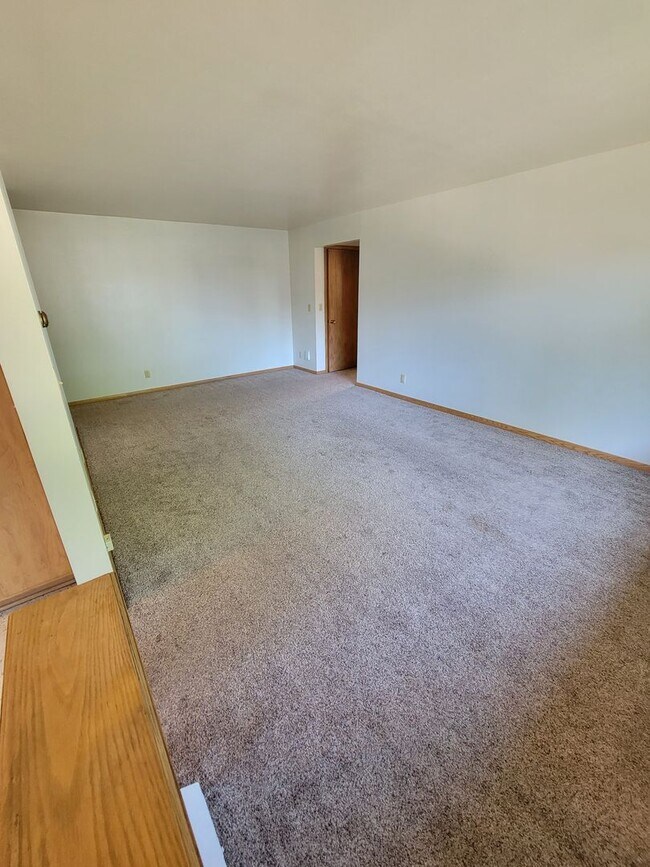 319 E Harris St in Appleton, WI - Building Photo - Building Photo
