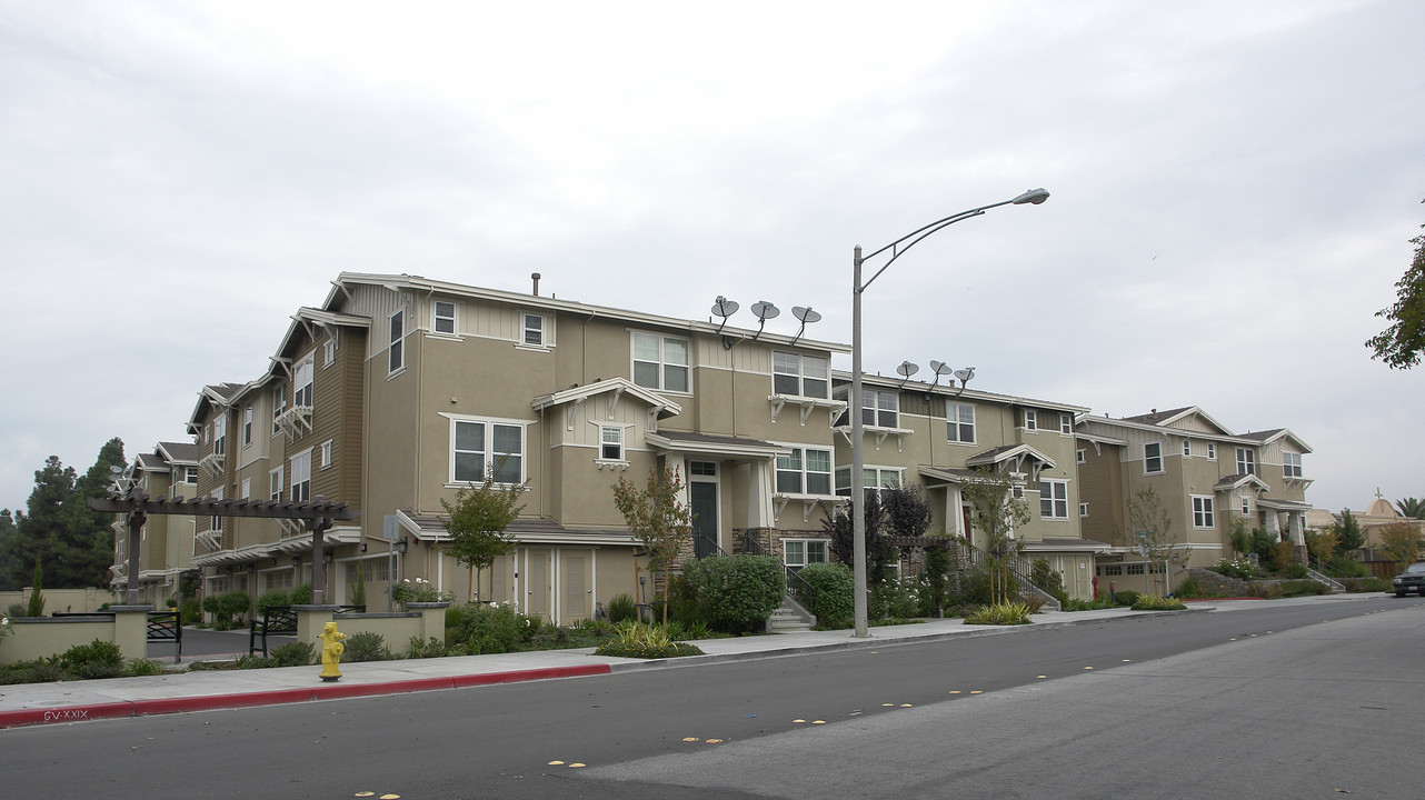 37056-37084 Dusterberry Way in Fremont, CA - Building Photo