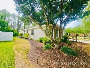 11812 Colony Lakes Blvd in New Port Richey, FL - Building Photo - Building Photo