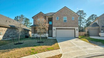 2208 Gadwall Ct in Conroe, TX - Building Photo