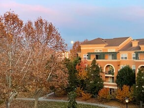 1390 Saddle Rack St in San Jose, CA - Building Photo - Building Photo